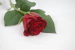 Vollsortiment - Rose - ROT